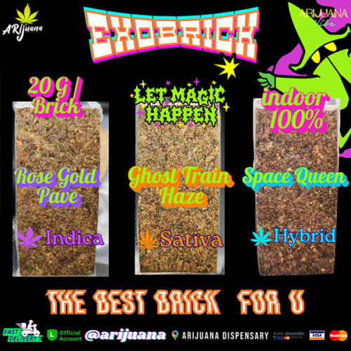 Exobrick