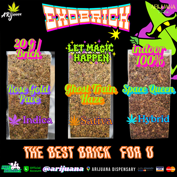 Exobrick