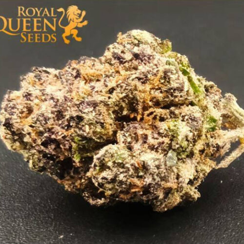 Forbidden Fruit
