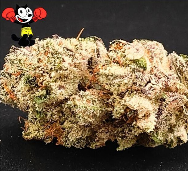 GIGI'S Snowberry