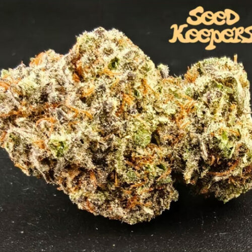Keeper OG Auto